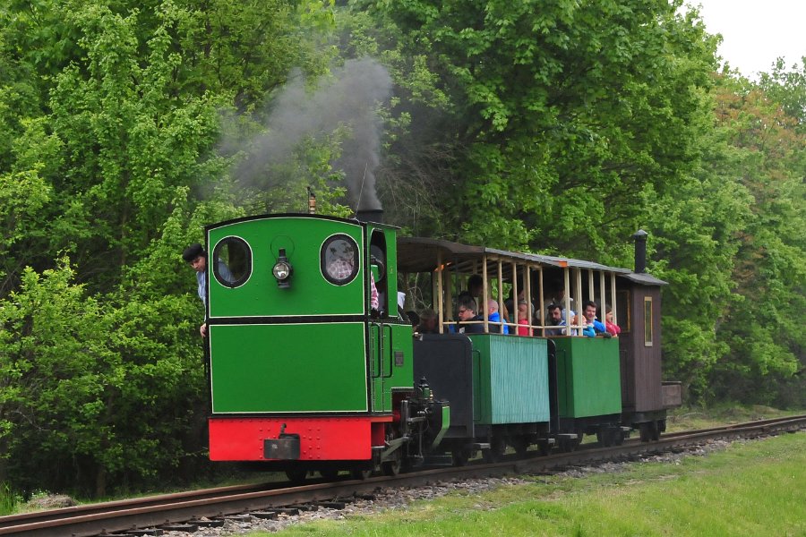 Henschel Heeresfeldbahnlok von Zastávka u Brna nach Důl Jindřich (25)